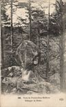 CPA Foret de Fontainebleau Barbizon Bilboquet du diable
