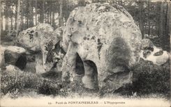 CPA Fontainebleau La foret L hippopotame