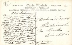 CPA Paris Aeroplanes au dessus du Trocadero