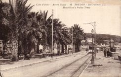 CPA Toulon palm trees