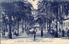 Toulon - Allee Northern of the Palm trees - Place of Freedom - CPA