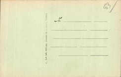 Toulon - Allee Northern of the Palm trees - Place of Freedom - CPA