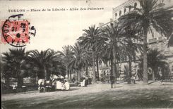 Toulon - Place of Freedom - Allee of the Palm trees - CPA