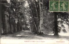 CPA Torigny on Transfers Under the limes