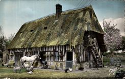 Normandy - Firm Old woman - CPA