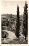 Vence - Vue sur la Vieille Ville - CPA 