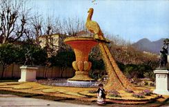 Menton - Les Fetes du Citron - CPA 