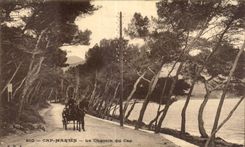 Cap Martin - Le Chemin du Cap Caleche - CPA 