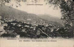 - Vision entre los Aceituna-Arboles - CPA graso