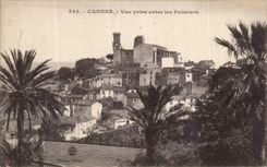 Cannes - Seen from between the Palm trees - CPA