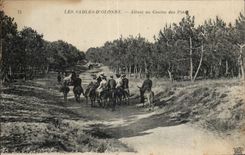 Arenas Olonne - yendo al casino de los pinos - asno - burro - CPA