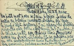 Cannes - Gulls on the Beach - CPA