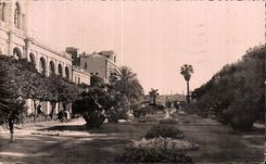 Menton - Les Jardins et le Casino - CPA 