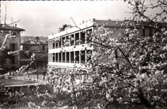 - Santo Dominique del hogar - 18 acacias agradables del DES de la avenida - CPA