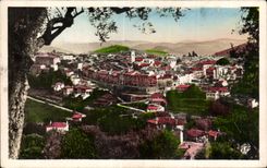 Vence - Vue a travers les Oliviers - CPA 