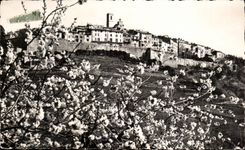 Saint Paul - Vue prise entre les arbres en fleurs - CPA 