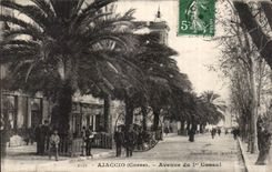 Corsica - Corsica - Ajaccio - Avenue of I Consul - CPA