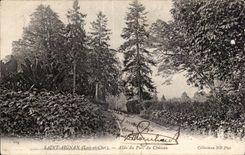 CPA Saint Aignan Alee du parc du chateau