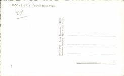 CPSM Blois Escalier Denis Papin