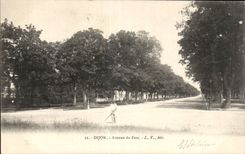 CPA Dijon Avenue du parc