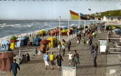Deauville - La Plage Fleurie - CPA