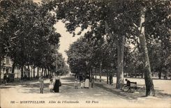 CPA Montpellier Allee de l esplanade