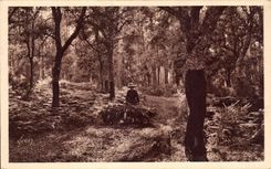 CPA amarra de Gascogne la vuelta del campesino a la granja (el tiro agradable)