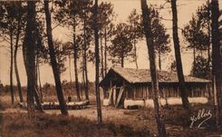 CPA en amarra de Gascogne oveja-dobla