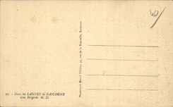 CPA en amarra de Gascogne oveja-dobla