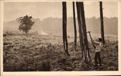 CPA amarra de Gascogne el mAs resinier a trabajar