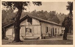 CPA amarra de Gascogne estAndar del landaise de la casa