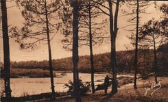 CPA en amarra de Gascogne Paysage tiene Aureilhan