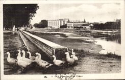 CPA Dax edges of Adour