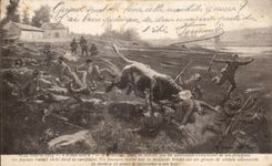 CPA Militaria Cheer toro Bull