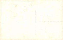 CPA Militaria festivals of the victory American Armed July 14th 1919