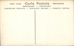 CPA Belgium Brussels the royal theater