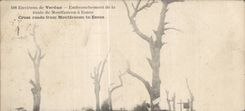 CPA Militaria Environs of Verdun Route of Montfaucon has Esnes