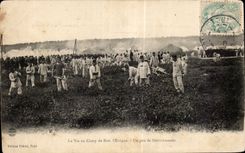 CPA Militaria la via au camp de Bois l Eveque un peu de defrichement