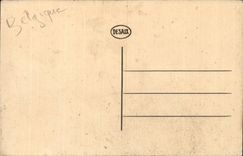 CPA Belgium Cave of Remouchamps Valley of Ambleve the palm tree