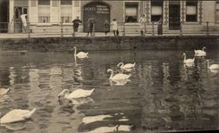 CPA Belgium Brugge Bruges Long Quay and swans