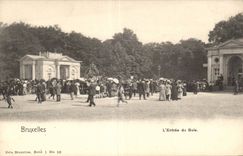 CPA Belgium Brussels Entering of wood