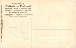 Fleurs small yellow - CPA 