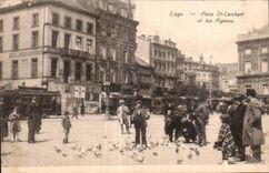 Belgium - Belgium - Belgien - Liege - Place St Lambert and Pigeons - CPA