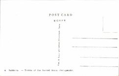 Tumbas de CPSM Egipto Egipto Sakkara de las niveladoras sagradas