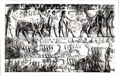 Tumba de CPSM Egipto Egipto Sakkara de Ptah Hotep