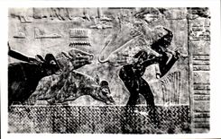 CPSM Egypte Egypt Sakkara Tomb of Ti