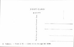CPSM Egypte Egypt Sakkara Tomb of Ti