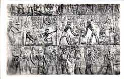 CPSM Egypte Egypt Sakkara Tomb of Ti