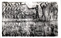 CPSM Egypte Egypt Sakkara Tomb of Ti