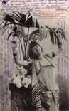 CPA Fantaisie Femme Le latanier